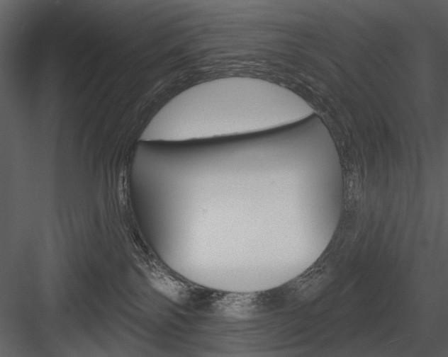 X0000084540138200702230918