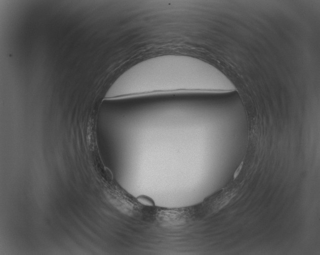 X0000084540139200702230918