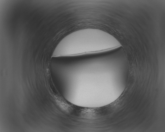 X0000084540140200702230918