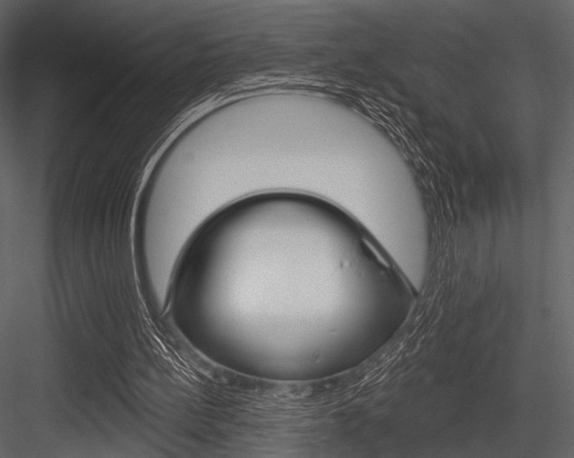 X0000084540148200702230917