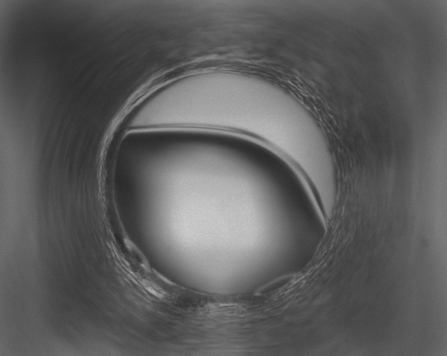 X0000084540150200702230917