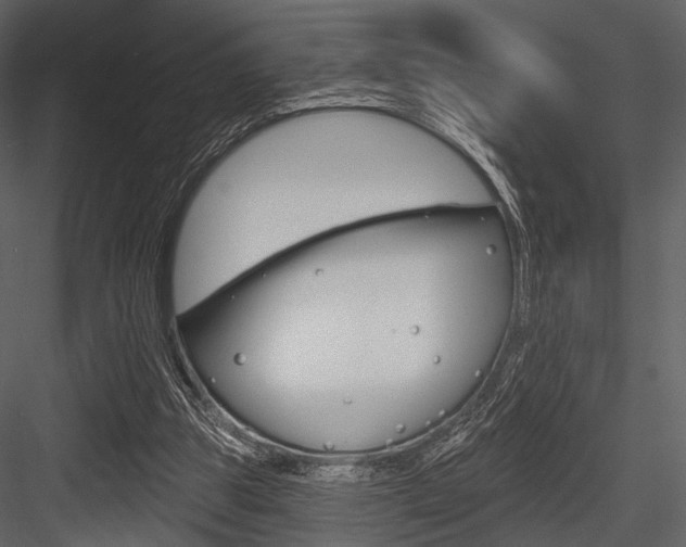 X0000084540153200702230917
