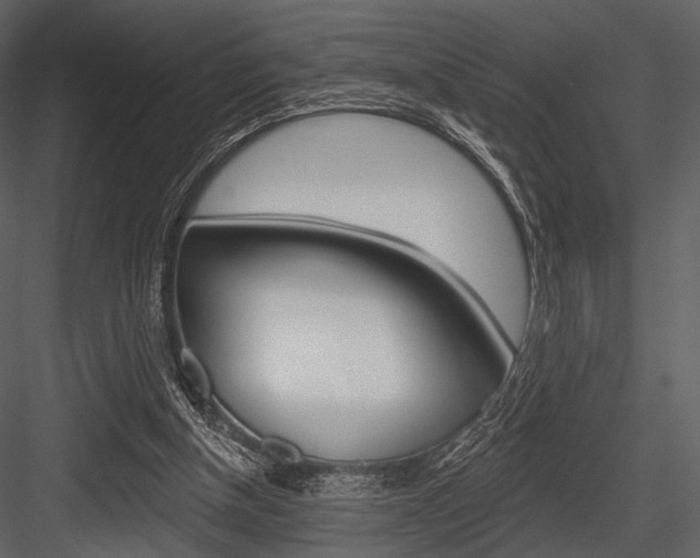 X0000084540154200702230918