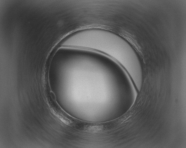 X0000084540156200702230918
