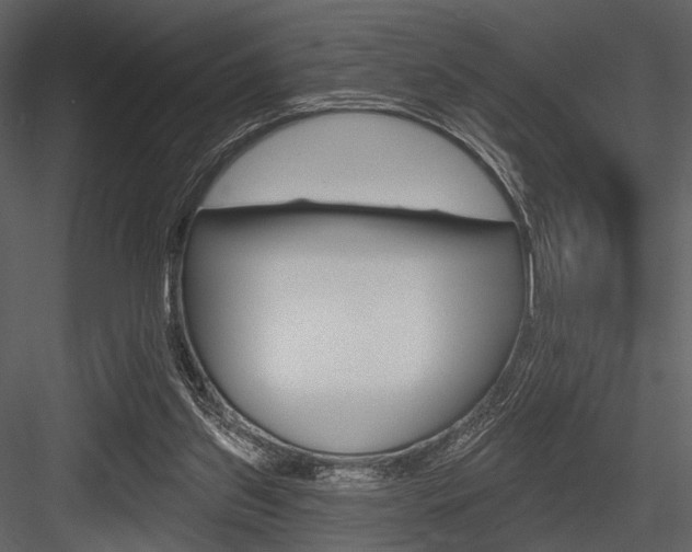 X0000084540157200702230918