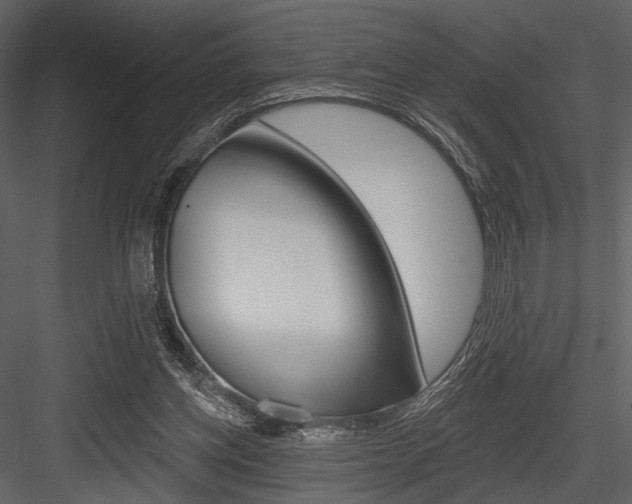 X0000084540158200702230918