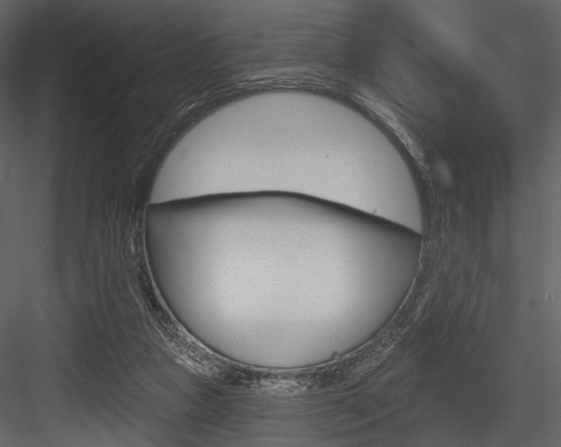 X0000084540161200702230918