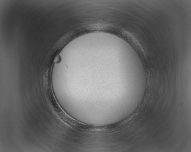 X0000084540163200702230918