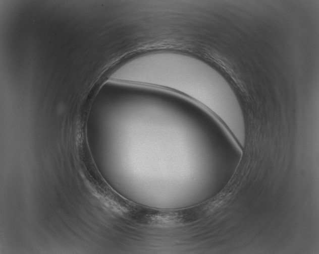 X0000084540164200702230918