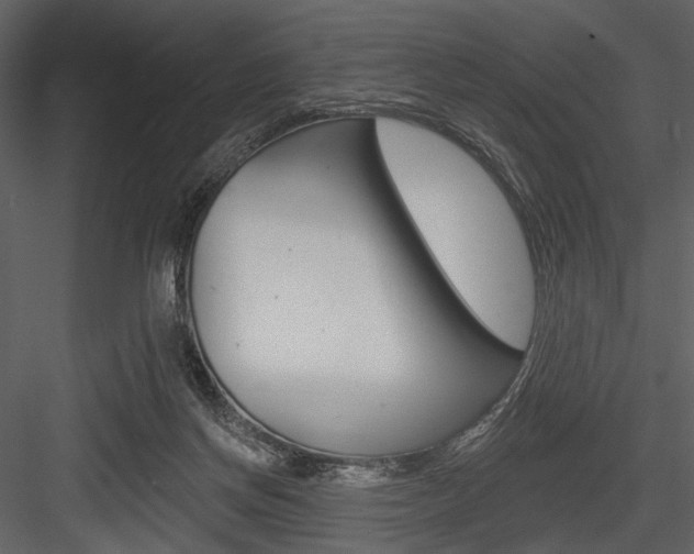X0000084540166200702230918