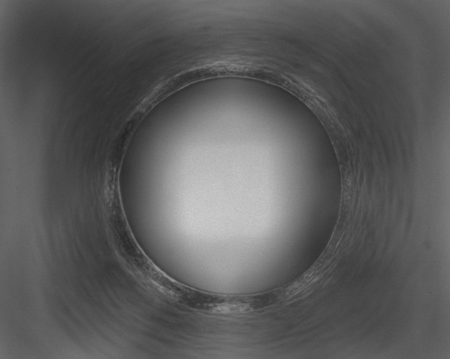 X0000084540168200702230918