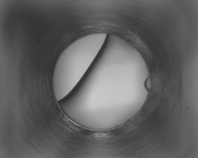 X0000084540169200702230918