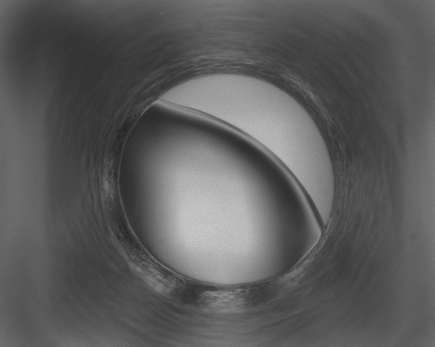 X0000084540170200702230918