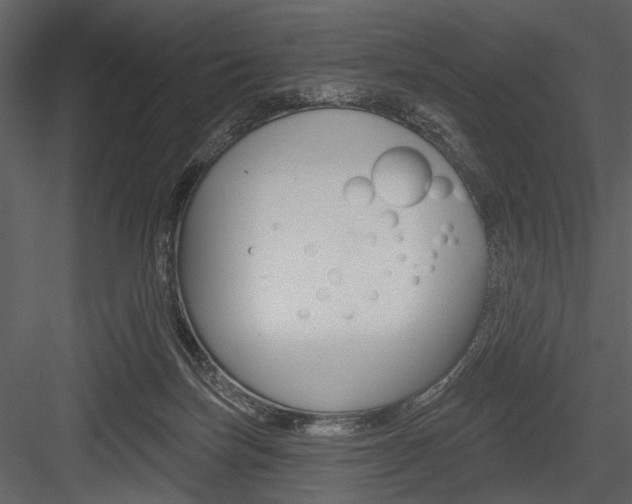 X0000084540171200702230918