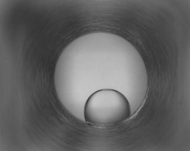 X0000084540174200702230918
