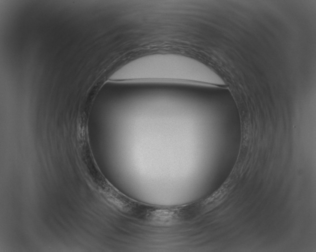 X0000084540176200702230918