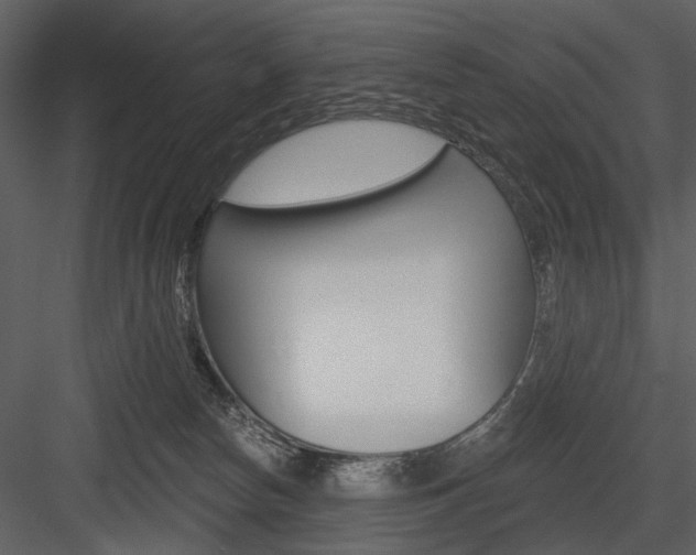 X0000084540178200702230918