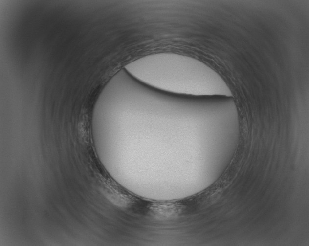X0000084540181200702230918