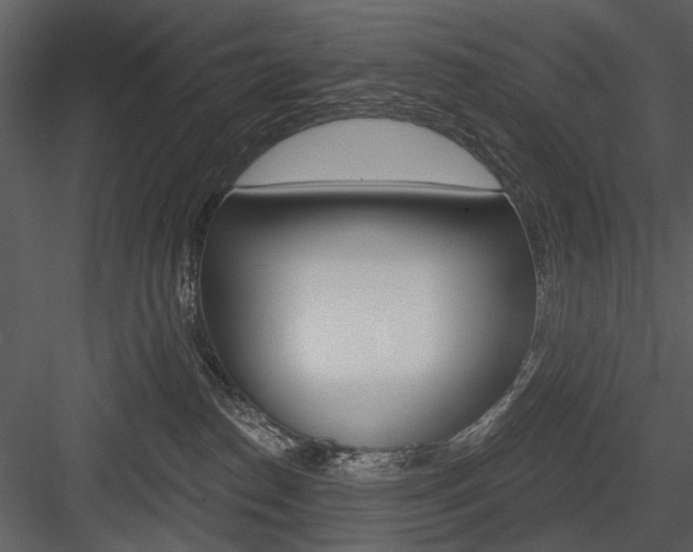 X0000084540186200702230918