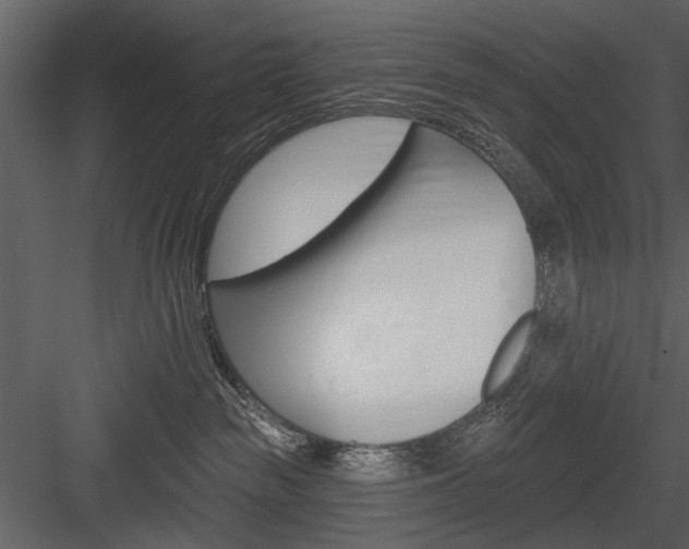 X0000084540189200702230918