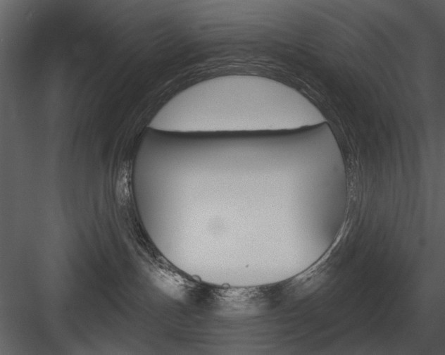 X0000084540191200702230918