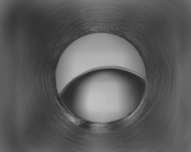 X0000084540192200702230918