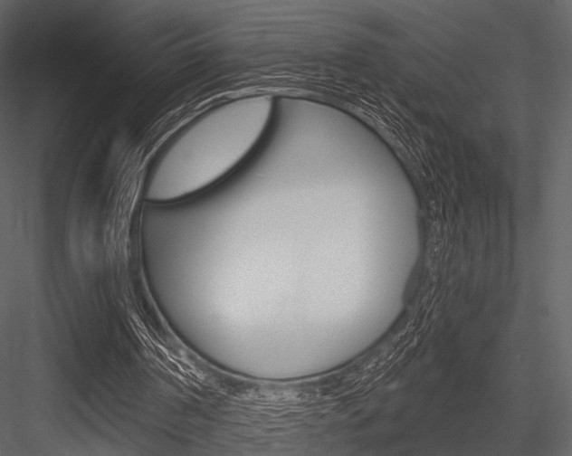X0000084540194200702230917