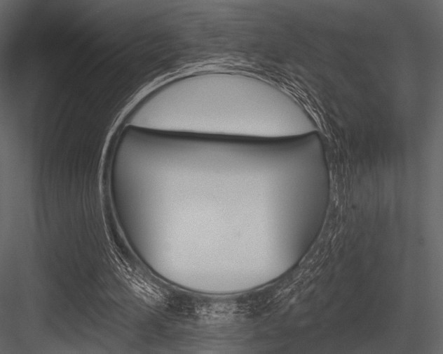 X0000084540196200702230917