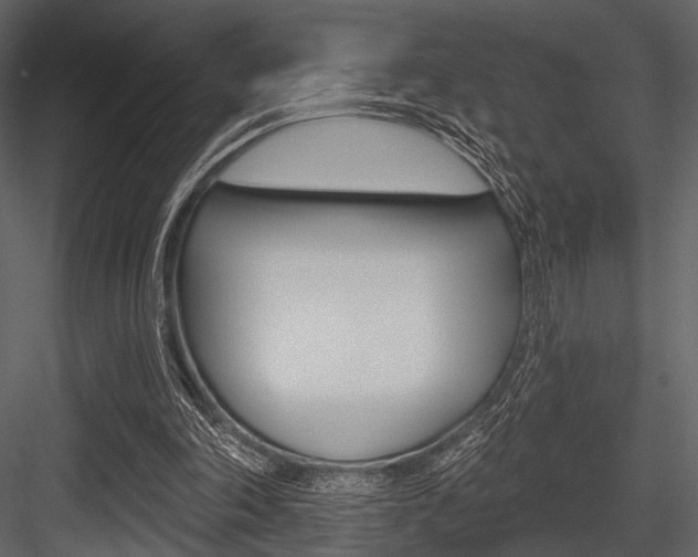 X0000084540198200702230917