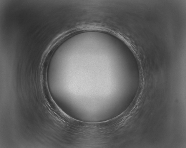 X0000084540199200702230917