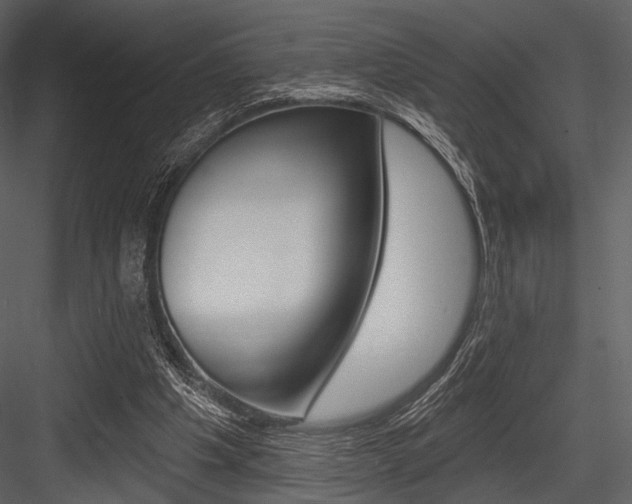 X0000084540201200702230917