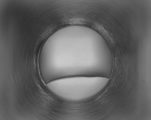 X0000084540202200702230917
