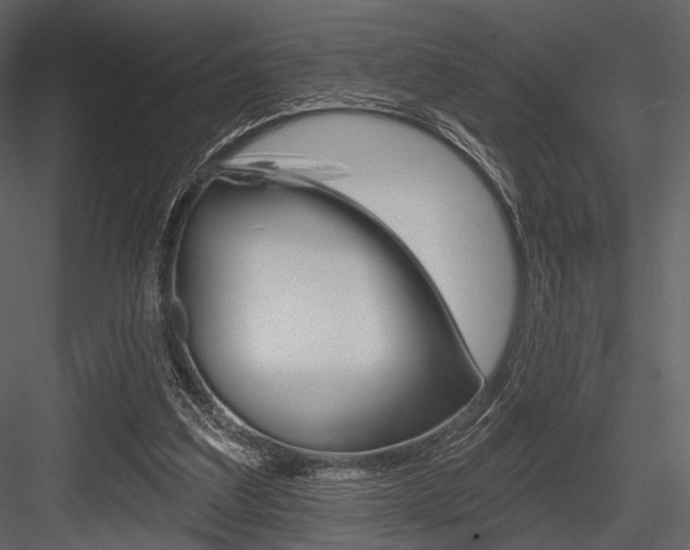 X0000084540203200702230917
