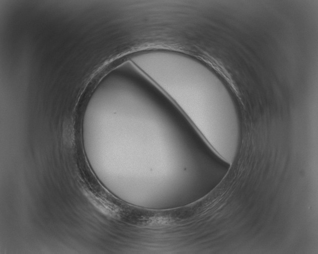 X0000084540204200702230917