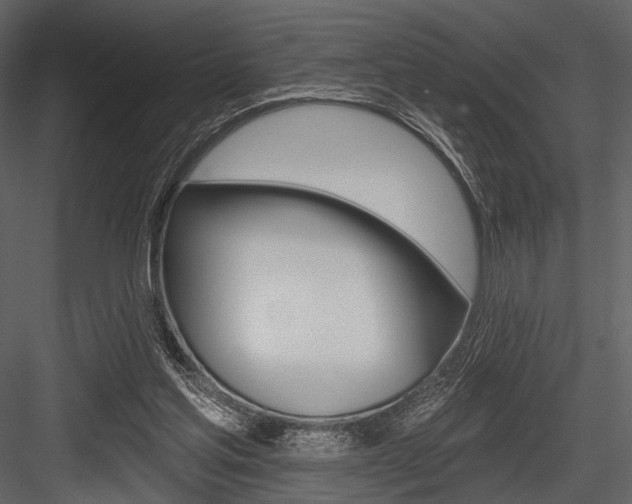X0000084540205200702230917