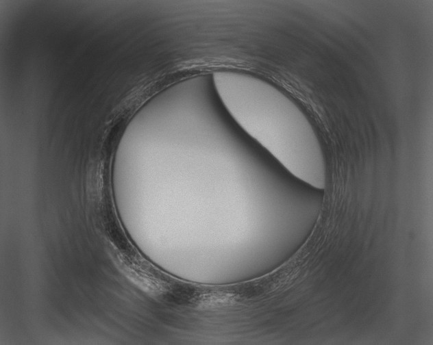X0000084540206200702230917