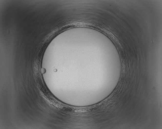 X0000084540208200702230917