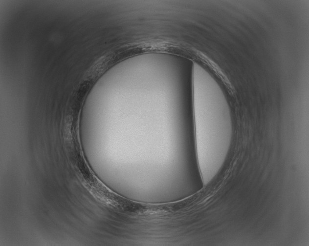 X0000084540209200702230917