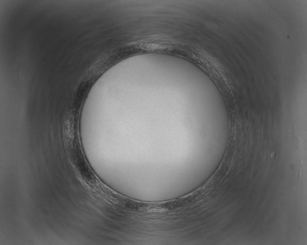 X0000084540210200702230917