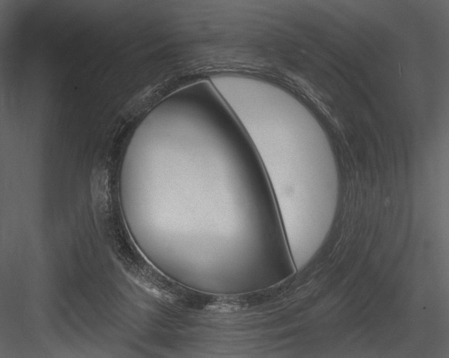 X0000084540211200702230917