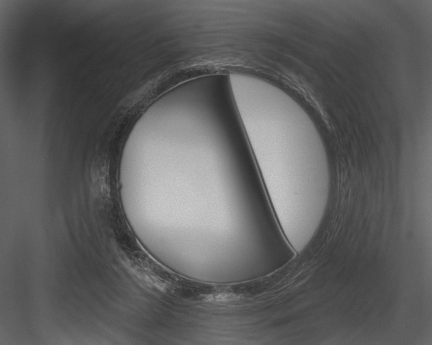 X0000084540212200702230917