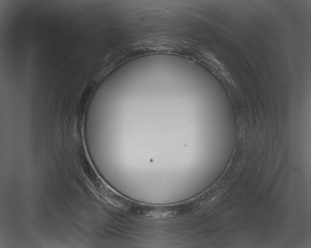 X0000084540213200702230917