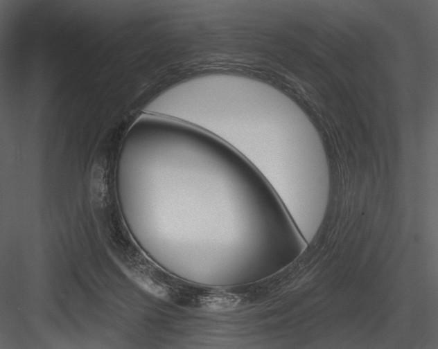 X0000084540215200702230917