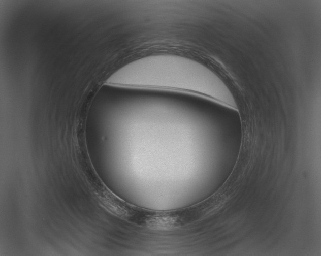 X0000084540217200702230917