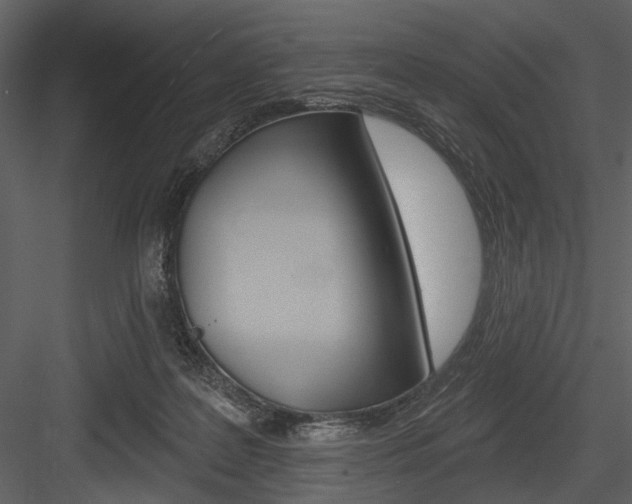 X0000084540219200702230917