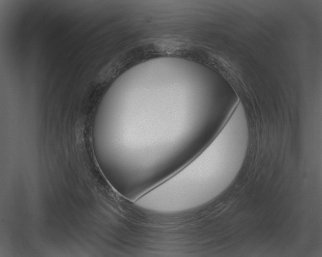X0000084540221200702230917