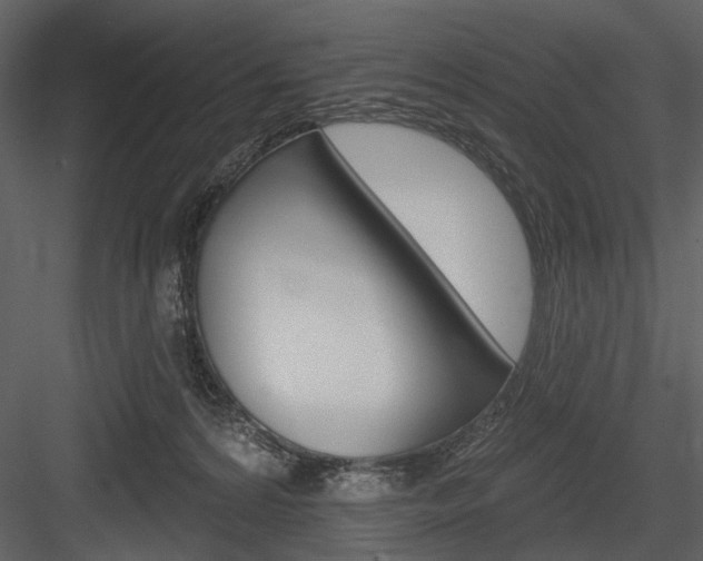 X0000084540224200702230917