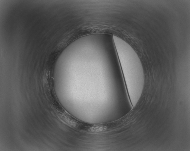 X0000084540225200702230917