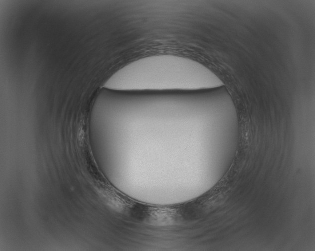 X0000084540226200702230917