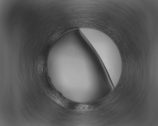 X0000084540227200702230917